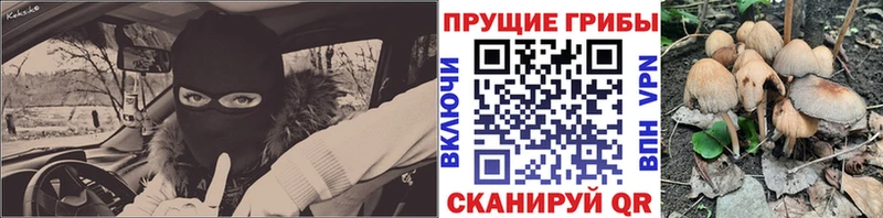 Галлюциногенные грибы Psilocybine cubensis  Лихославль 